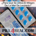 ¿Para Qué Se Utiliza El Milagro De La Miel De Leopardo new15